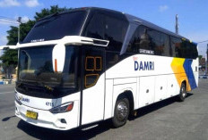 DAMRI Buka Lowongan Kerja untuk SMA/SMK Mekanik, Cek Syarat dan Cara Daftarnya Disini
