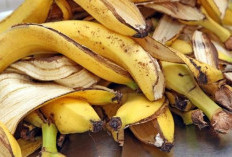 Perlu Kamu Tahu 7 Khasiat Kulit Pisang untuk Kesehatan Tubuh dan Wajah