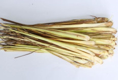 4 Manfaat Serai, Bikin Tekanan Darah Tinggi Ambyar