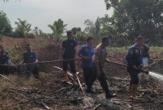 Lahan Warga Pekik Nyaring Dilalap Si Jago Merah 