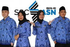 Seleksi CPNS 2025, Ini Cara Pilih Formasi yang Tepat