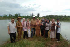 Genjot Pendapatan Desa, BUMDes Pondok Kelapa Bangun Usaha Pemancingan