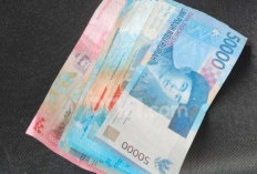 Tanggal Berapa Batas Akhir Pembayaran THR PPPK Paruh Waktu?