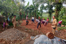 Ketahanan Pangan Desa Jumat, 14 Ekor Kambing Masuk Program Penggemukan