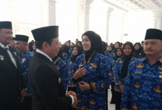 Honorer Gagal Seleksi Tahap 2 Diusulkan jadi PPPK Paruh Waktu