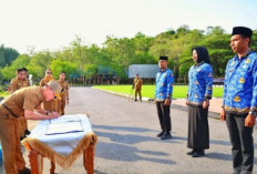 Kepala BKD Menjelaskan Perbedaan Mendasar PPPK PW dan Penuh Waktu, juga soal Gaji