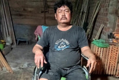 Berdomisili Tak Jauh dari Kantor Bupati, Pengidap Penyakit Lumpuh Paha Butuh Uluran Tangan 