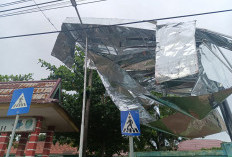 Berbulan-bulan Rusak, Reklame Sekolah Belum Diperbaiki, LSM Pro Jamin Kritik Lambannya Penanganan Dikbud