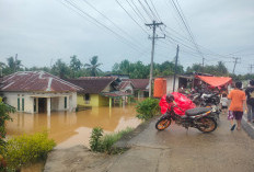 Banjir Rendam Sejumlah Desa di Bengkulu Tengah, Kades Taba Terunjam Harapkan Perhatian dan Solusi