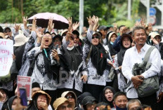 Daftar Nama 16 Organisasi PPPK, Sudah Ada Gambaran Alih Status Paruh Waktu ke Full Time