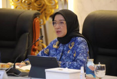 Pendaftaran CPNS dan PPPK 2025 Masih Belum Dibuka, Ini 5 Alasan Utamanya
