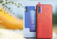 Xiaomi Redmi 9T: Rekomendasi HP Murah Dibawah Rp2 Jutaan, Performanya Tangguh