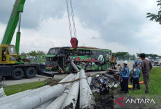 Bus Restu Rombongan Guru dari Malang Tabrakan di Tol Ngawi, Ada yang Meninggal