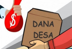 Dugaan Penyimpangan Dana Desa di Kecamatan Pondok Kubang Rp9,2 Miliar Dilaporkan, Berikut Rinciannya