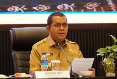 Mayoritas PPPK di Daerah Ini Terancam Dipecat, Banyak Banget, Pahit Memang