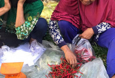 Dampak Jalan Liku Sembilan Amblas, Sayuran Sulit Dipasok ke Benteng, Harganya Naik Segini