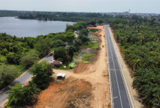 Peresmian Jembatan Elevated, Gubernur Rohidin Sebut Danau Dendam sebagai Pusat Wisata