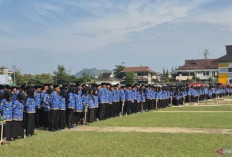 Ribuan PPPK Paruh Waktu Menerima SK, Gaji di Atas Rp250 Ribu, Itu pun Sudah Naik