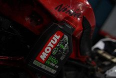 Pelumas Motul Sabet Penghargaan Bergengsi di Indonesia