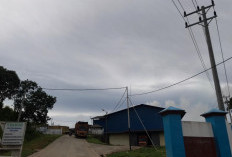 PT Palma Mas Sejati Dukung Pembentukan Forum CSR Bengkulu Tengah