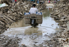 Bupati Aceh Tamiang Minta Fatwa Menhut soal Nasib Potongan Kayu