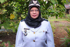 Launching Program Sadesahe, Pemdes Harapan Tanam Jagung dan Kembangkan 1.300 Ayam Pedaging