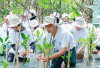 Tanam Mangrove di PIK & Kedonganan, B. Braun Indonesia Rogoh Kocek Ratusan Juta Rupiah